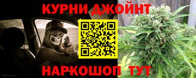 индика Лесосибирск