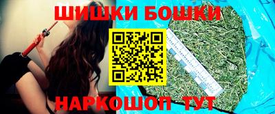 индика Лесосибирск