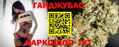 индика Лесосибирск