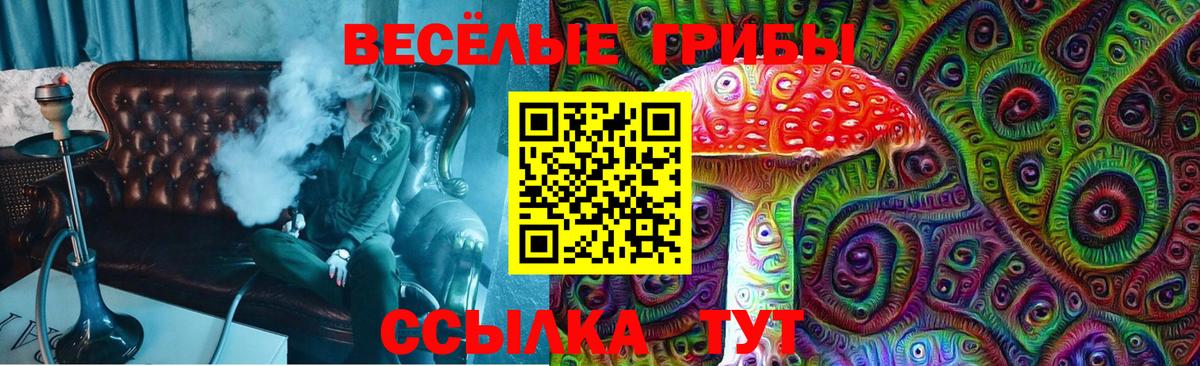 Гашиш  Гашиш  Меф МЯУ МЯУ   Кокаин  А ПВП СОЛЬ   Бузулук  Вход с VPN 